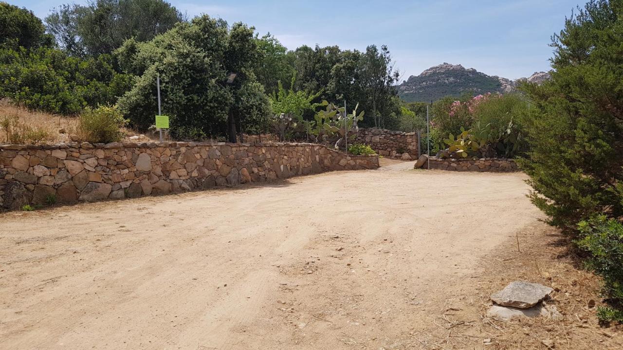 B&B Le Corti Di Aloa San Pantaleo Exterior photo