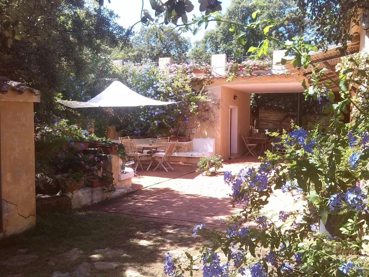 B&B Le Corti Di Aloa San Pantaleo Exterior photo